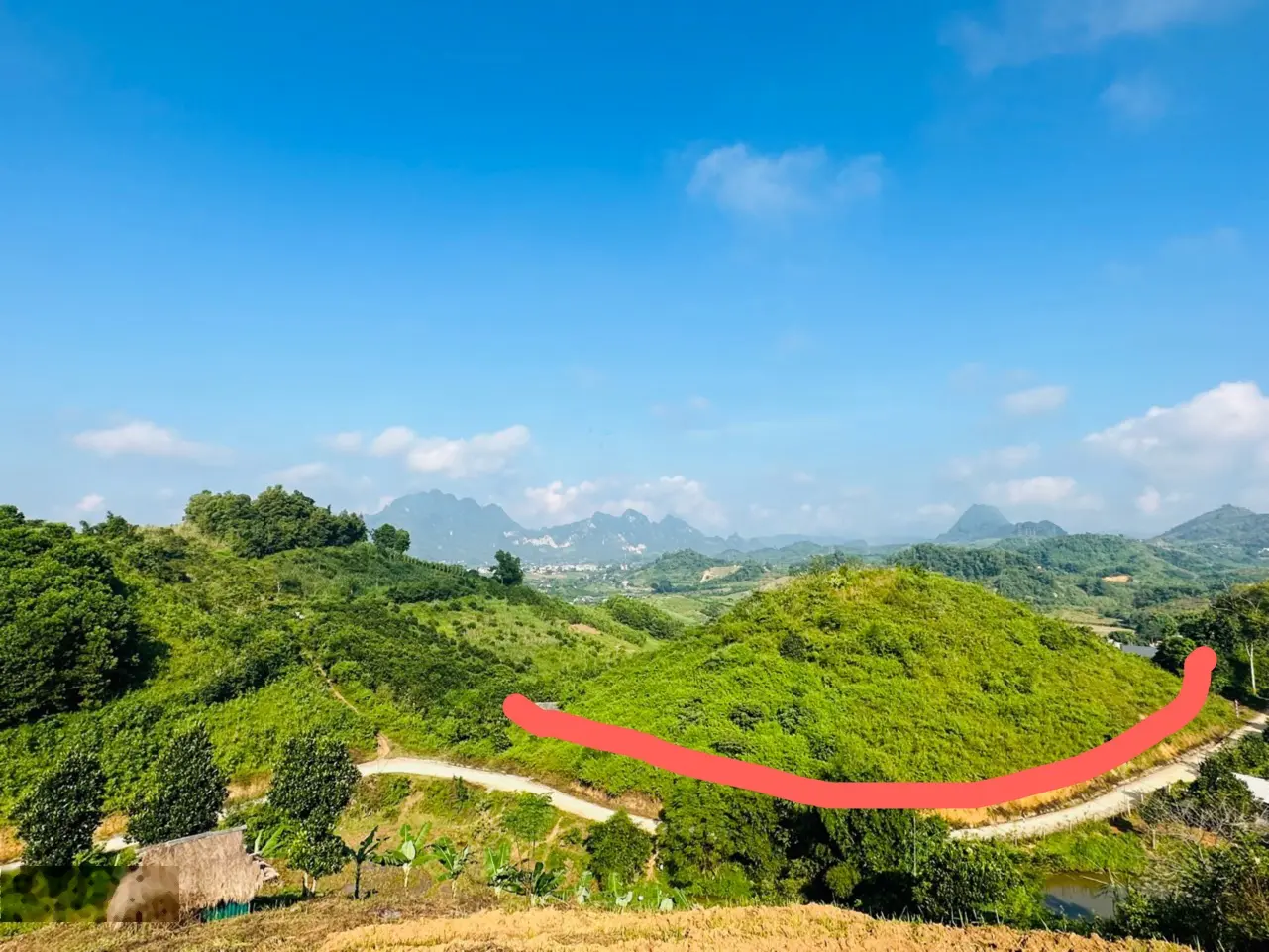 Bán đất DT 10.000m2 tại xã Thu Phong, Cao Phong, Hòa Bình LH 0944 898 ***