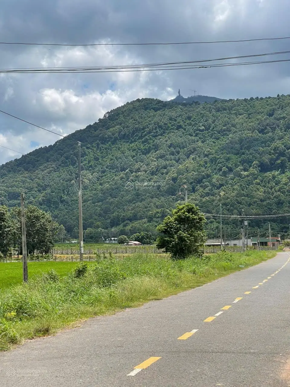 10x79m full hồng thổ cư, dân đông, MT đường ĐT 785, giá bán lỗ 770tr