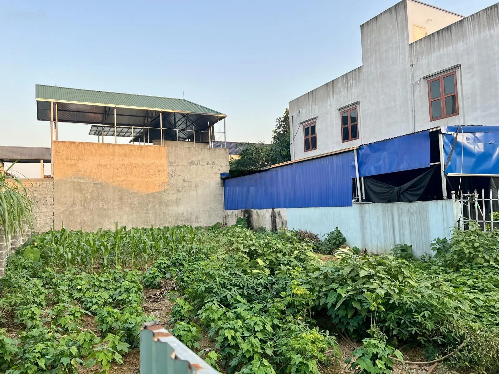 Lô đất S= 104,9m2 vuông vắn, gần ngay đường TL412B. Cách trường học, chợ cóc 100m. Sẵn sổ hồng