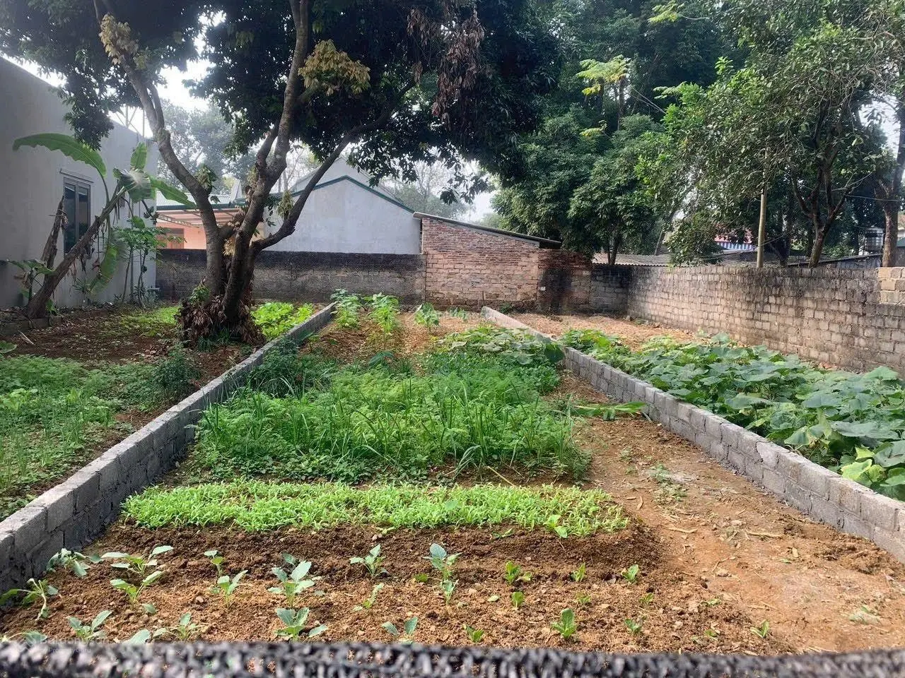 Chính chu gửi bán 87m2 thổ cư 50m2 tại thôn Đông Nam, xã Nam Phương Tiến. Giá cực tốt chỉ 9x tr