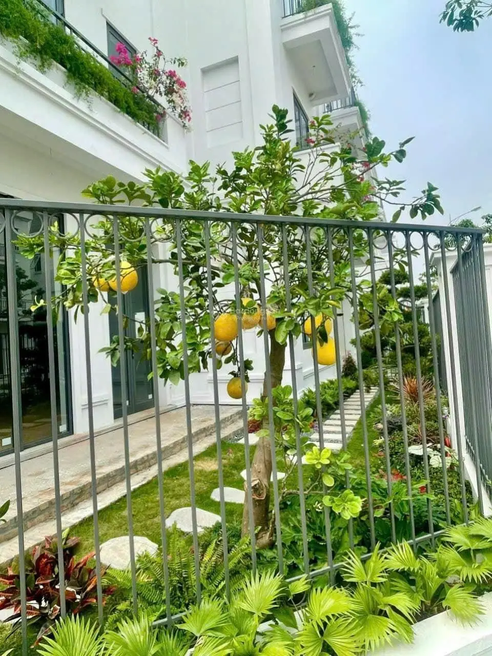 Siêu phẩm biệt thự Solasta Mansion Dương Nội vip nhất tại Hà Đông giá chỉ từ 26.9 tỷ. LH 0362 125 ***