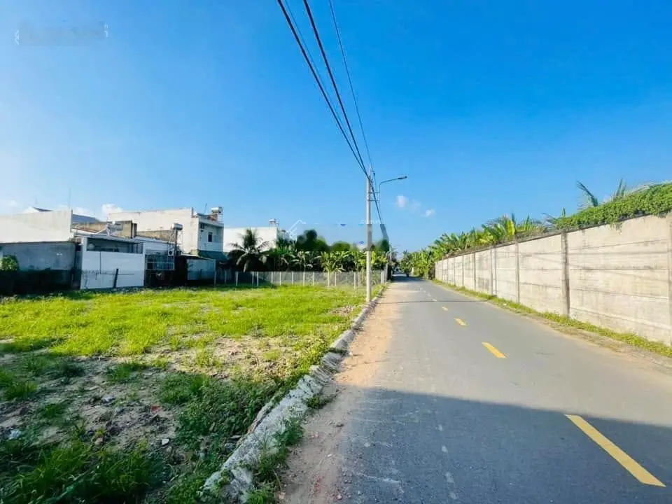 Chính chủ gửi bán gấp lô đất 590m2 (thổ + vườn) tại Thầy Cai, Bến Tre, cách chợ đầu mối 500m/SHR