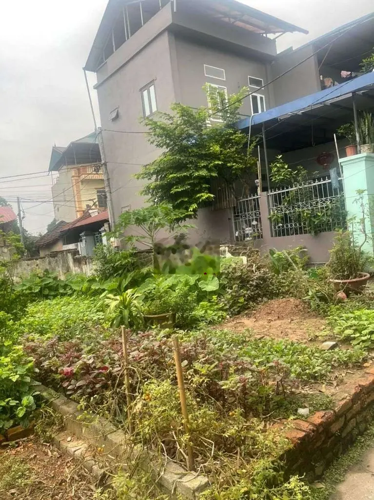 Bán đất full thổ cư tại Quất Động, Thường Tín. Diện tích 52m2, giá 1,37 tỷ