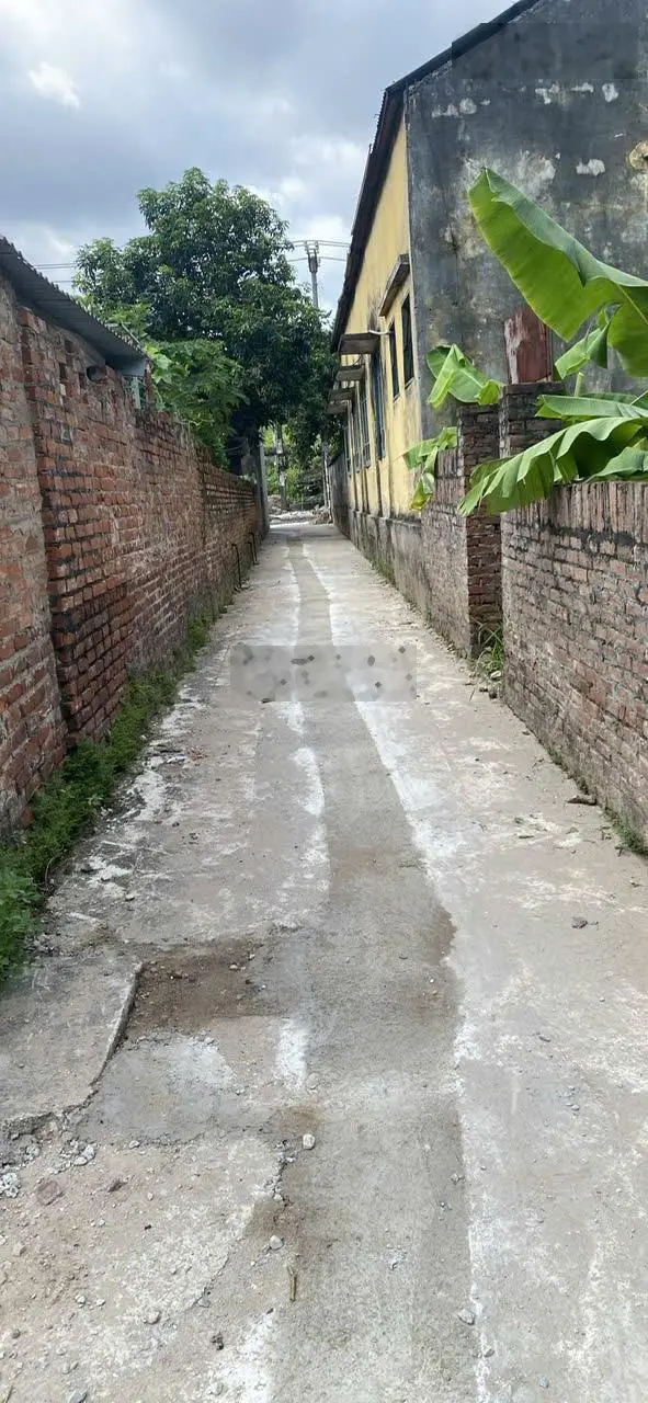 Bán đất diện tích 68m2 Đông Hội Đông Anh Hà Nội giá 4.49 tỷ có gia lộc