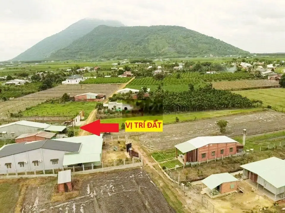 Bán lẹ miếng đất TC liền kề đường nhựa 8x44dân đông view Nú Bà (sổ sẵn