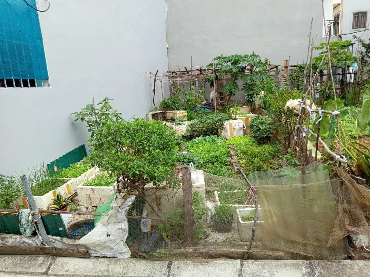3.75 tỷ/47/51m2/ 3.6 MT/ Đào Xuyên/Đa Tốn/Gia Lâm/ô tô