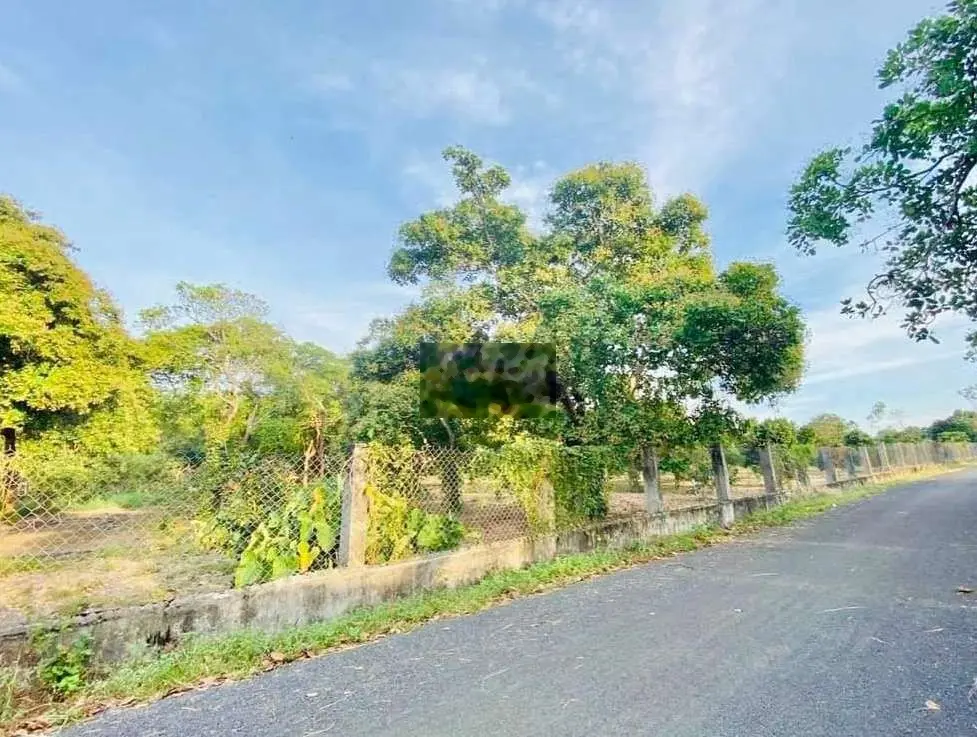 BÁN 6200M2 MT NHỰA TÂN LÂM XUYÊN MỘC,BRVT GẦN TL328,GIÁ 4.2 TI
