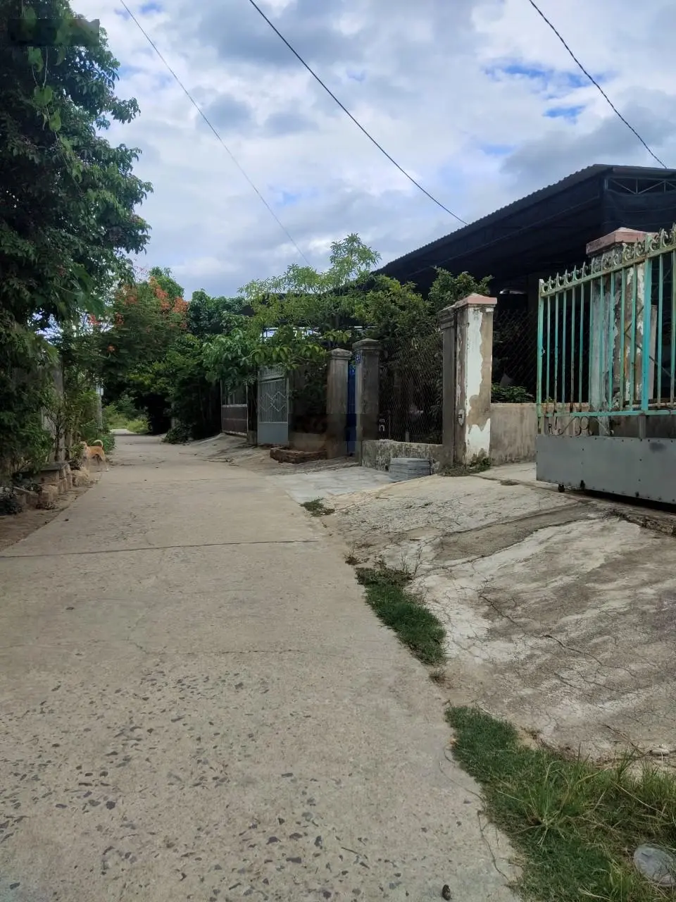 Chính chủ cần bán lô đất tại Phù Sa, Xuân Ngọc, Vĩnh Ngọc, Nha Trang