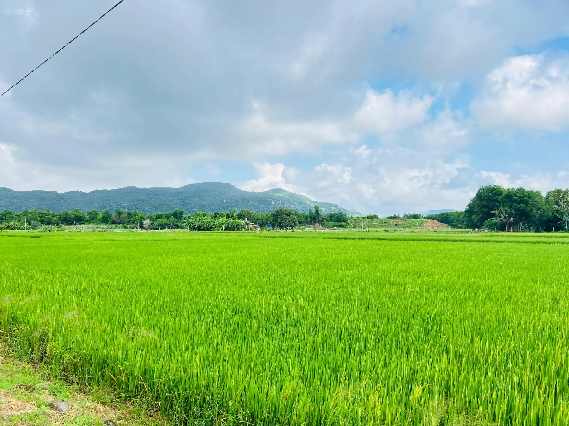 ĐẤT THỊ TRẤN PHƯỚC HẢI GẦN BIỂN GẦN NÚI - VIEW SIÊU ĐẸP ĐÂY Ạ