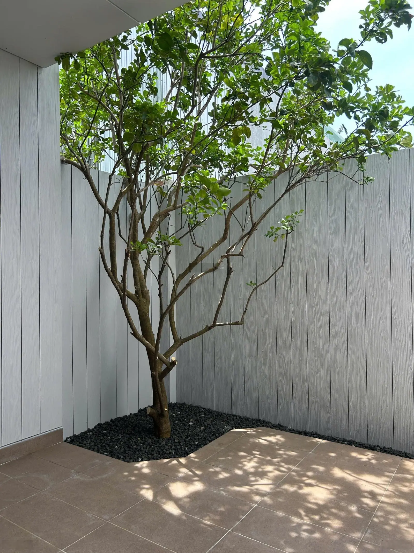 Bán biệt thự 130m2, 1,2 tỷ tại KĐT Cát Tường Phú Hưng, Tiến Hưng, Đồng Xoài, Bình Phước