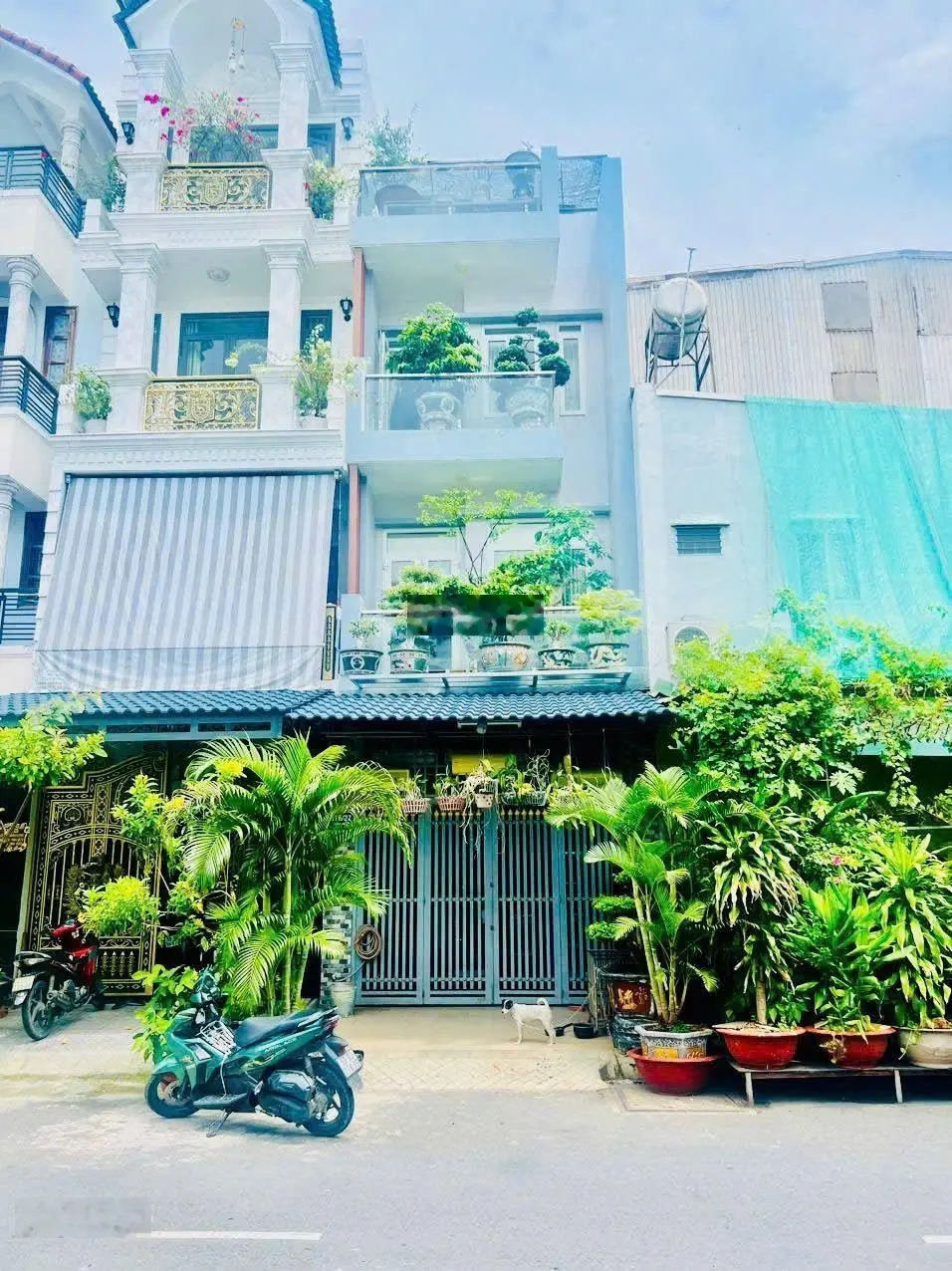 Bán gấp nhà hẻm 12m P. Tân Quý, 2MT trước sau, đúc 3.5 tấm, XH ngủ trong nhà, giá 7.8 tỷ TL