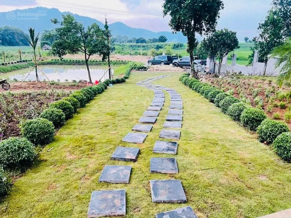 Chuyển nhượng khuôn viên nhà vườn 6000m2 có 450m2 thổ cư view cánh đồng tại thành phố Hoà Bình