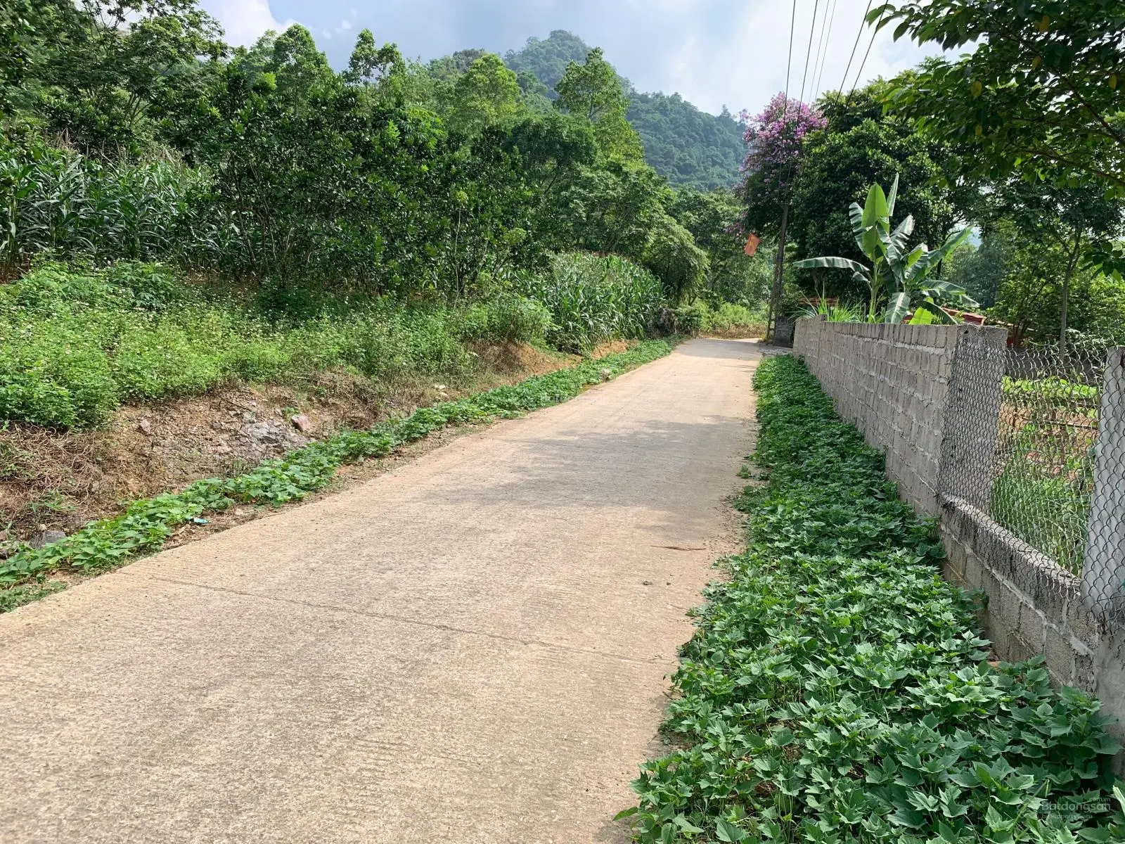 Bán 4300m có 350m ODT view cánh đồng tại trung tâm thị trấn đà bắc hoà bình giá 2ty350