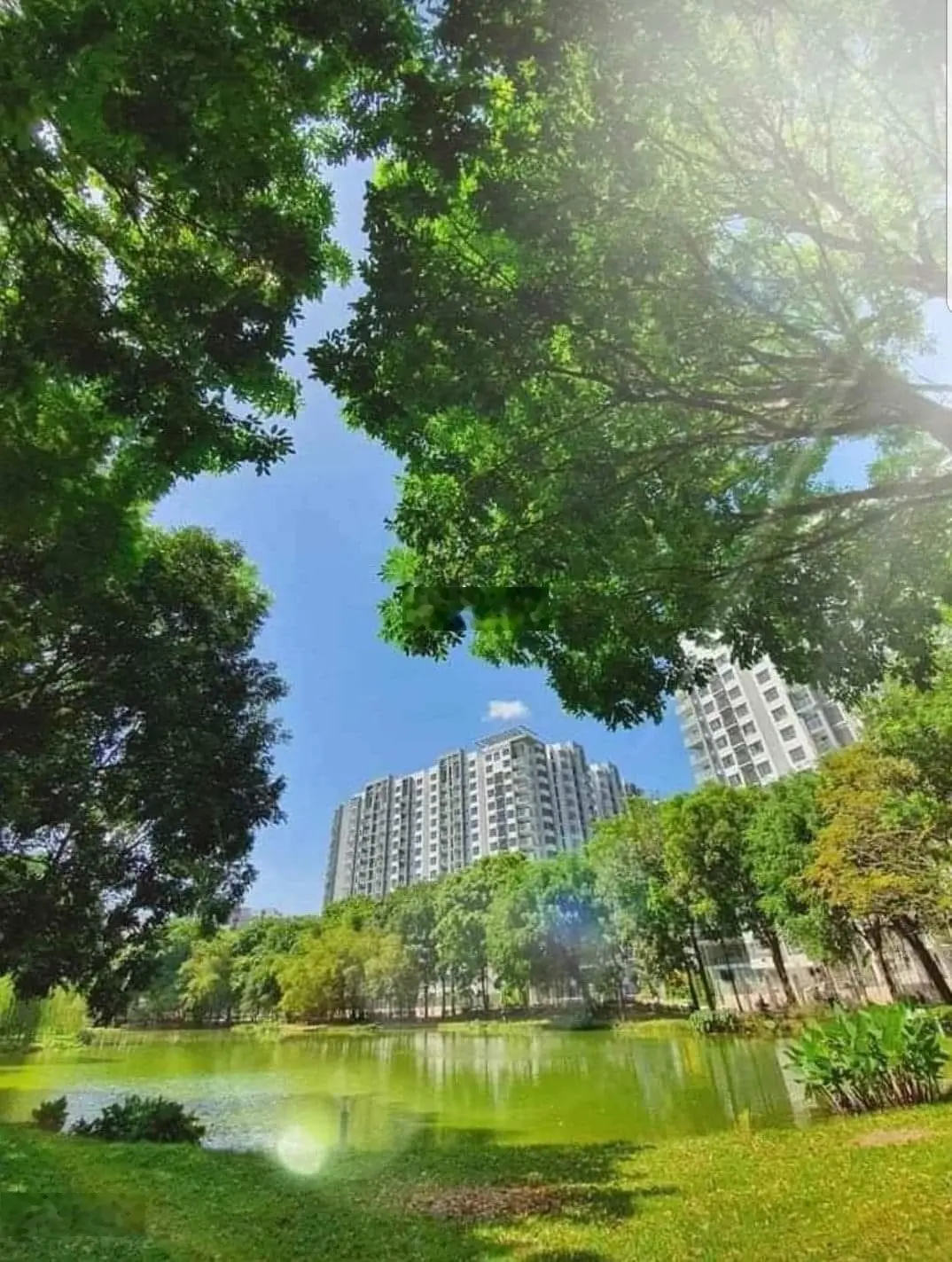 Diamond Centery Full giỏ hàng căn 2-3-4PN-Duplex-Penhouse mua trực tiếp CĐT: tt 15% nhận nhà, CK10%