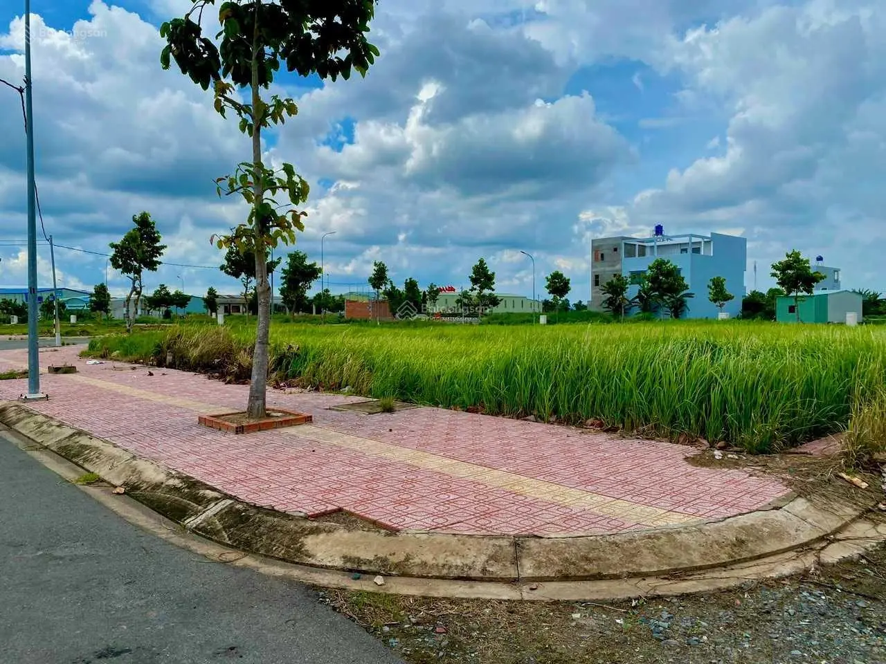 Mở bát đầu tháng 8 chính chủ cần bán gấp lô nền đất đẹp tại trung tâm Huyện Thủ Thừa Tỉnh Long An