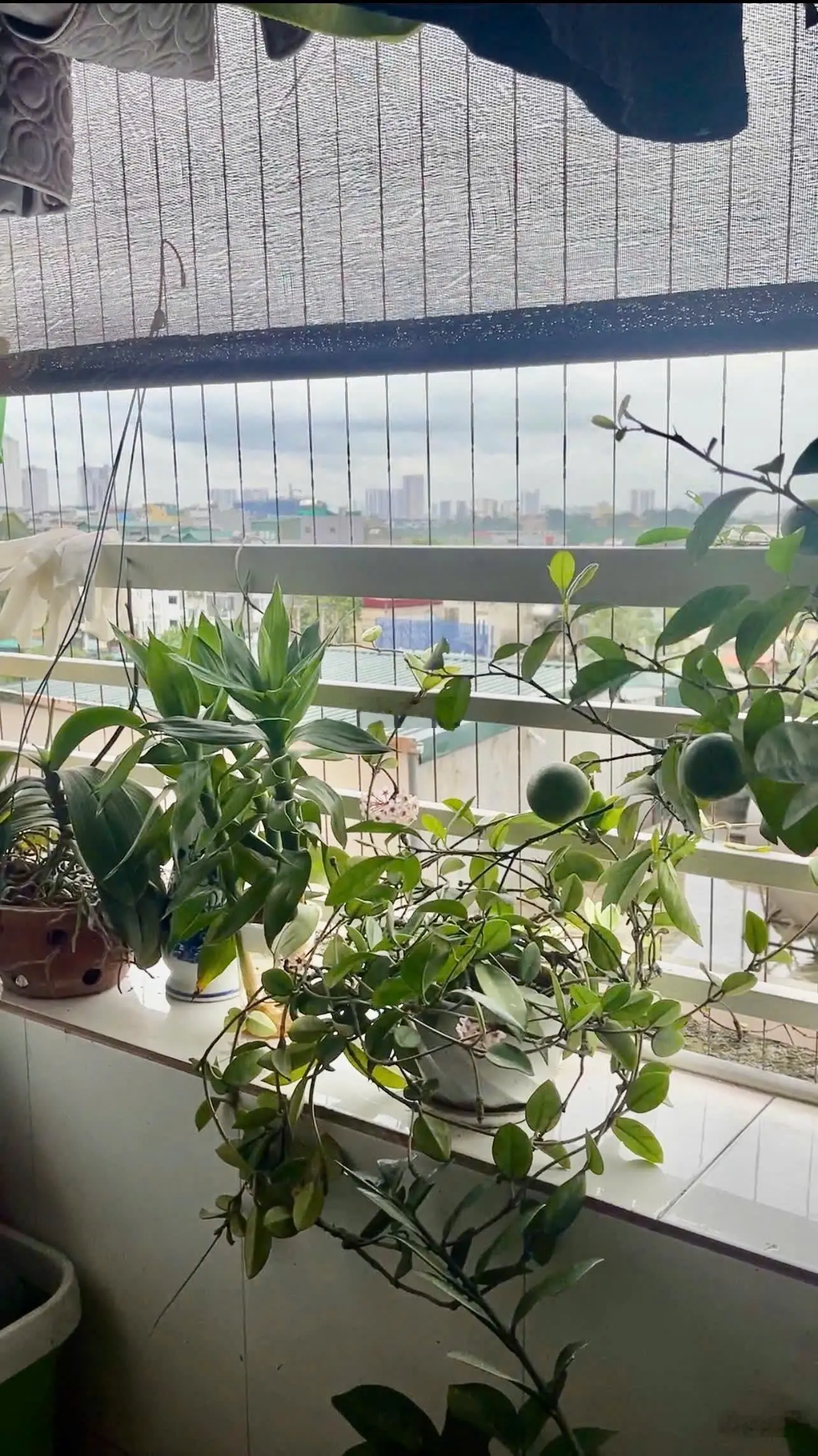 Giá tốt nhất khu vực, bán căn hộ 2PN, 2VS CT10 Đại Thanh - nhà đẹp như ảnh chỉ 2, x tỷ