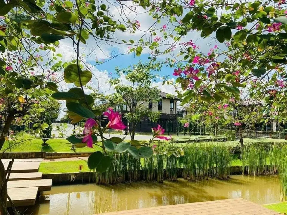 Biệt thự 2 mặt tiền view kênh đào sau nhà và công viên trước nhà khu compound The Aqua Waterpoint