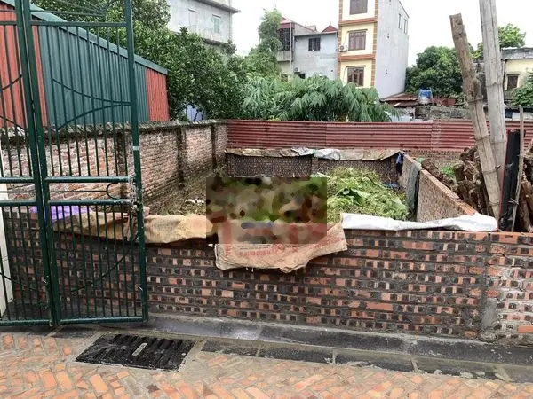 Bán đất tại thôn Chợ, Cổ Loa, Đông Anh. Diện tích 52,7m2, giá 2,1 tỷ