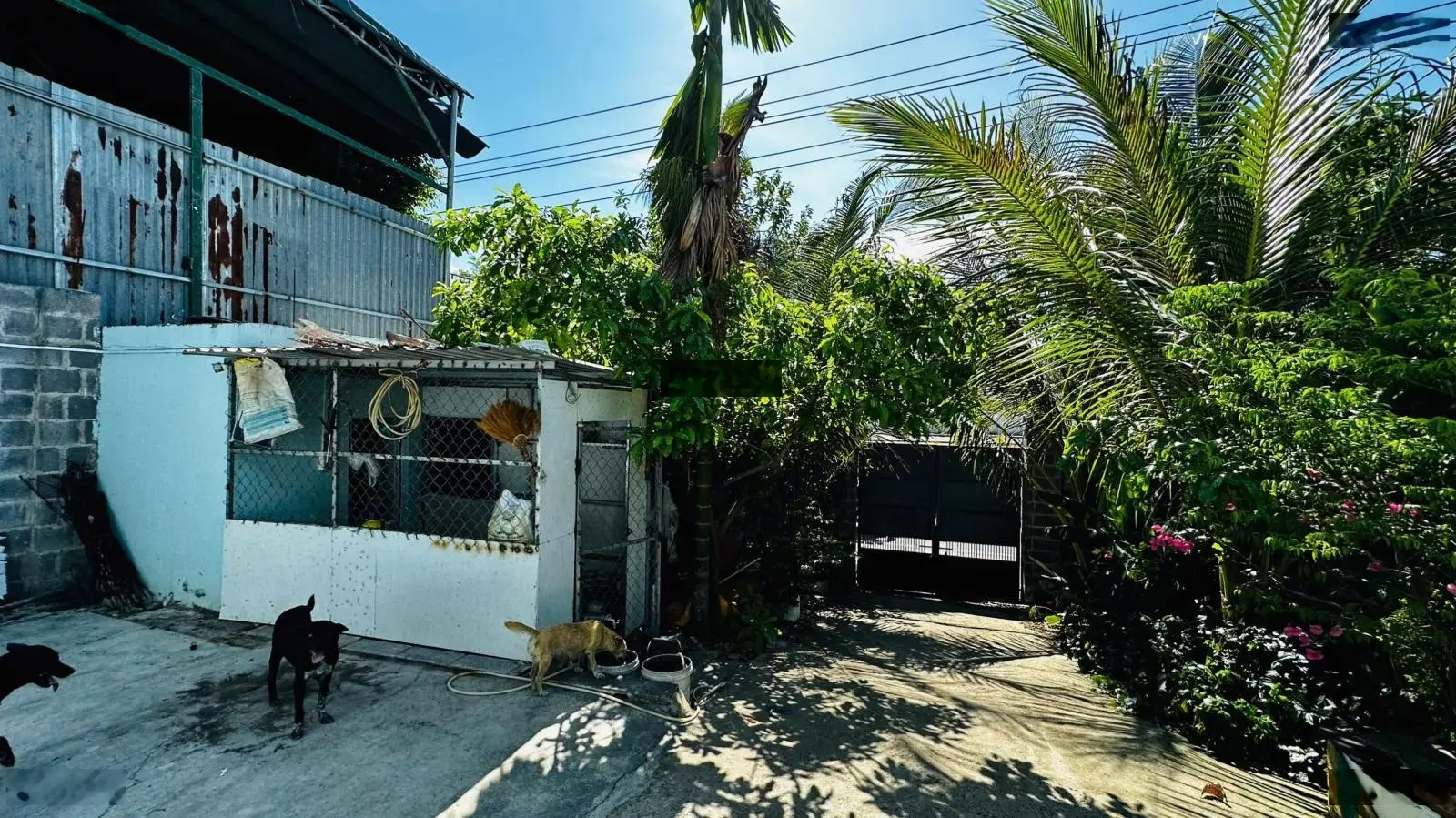 Cần chuyển nhượng lô đất có nhà mặt tiền ĐL Nguyễn Tất Thành DT680m2 (ngang 10m dài 68m) 60m2 TC