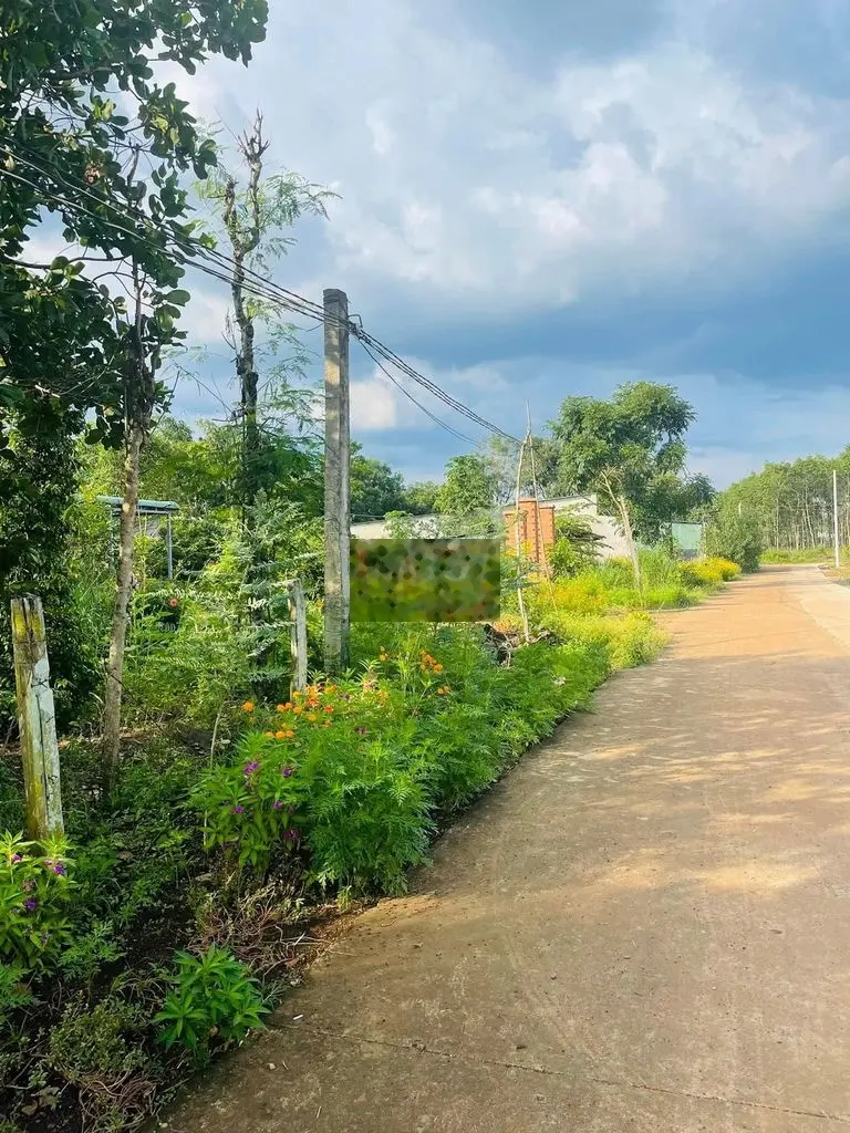 CHÍNH CHỦ BÁN MÃNH VƯỜN 7065m2 CÓ 2 MT (180m) THÍCH THỢP TÁCH ĐẦU TƯ