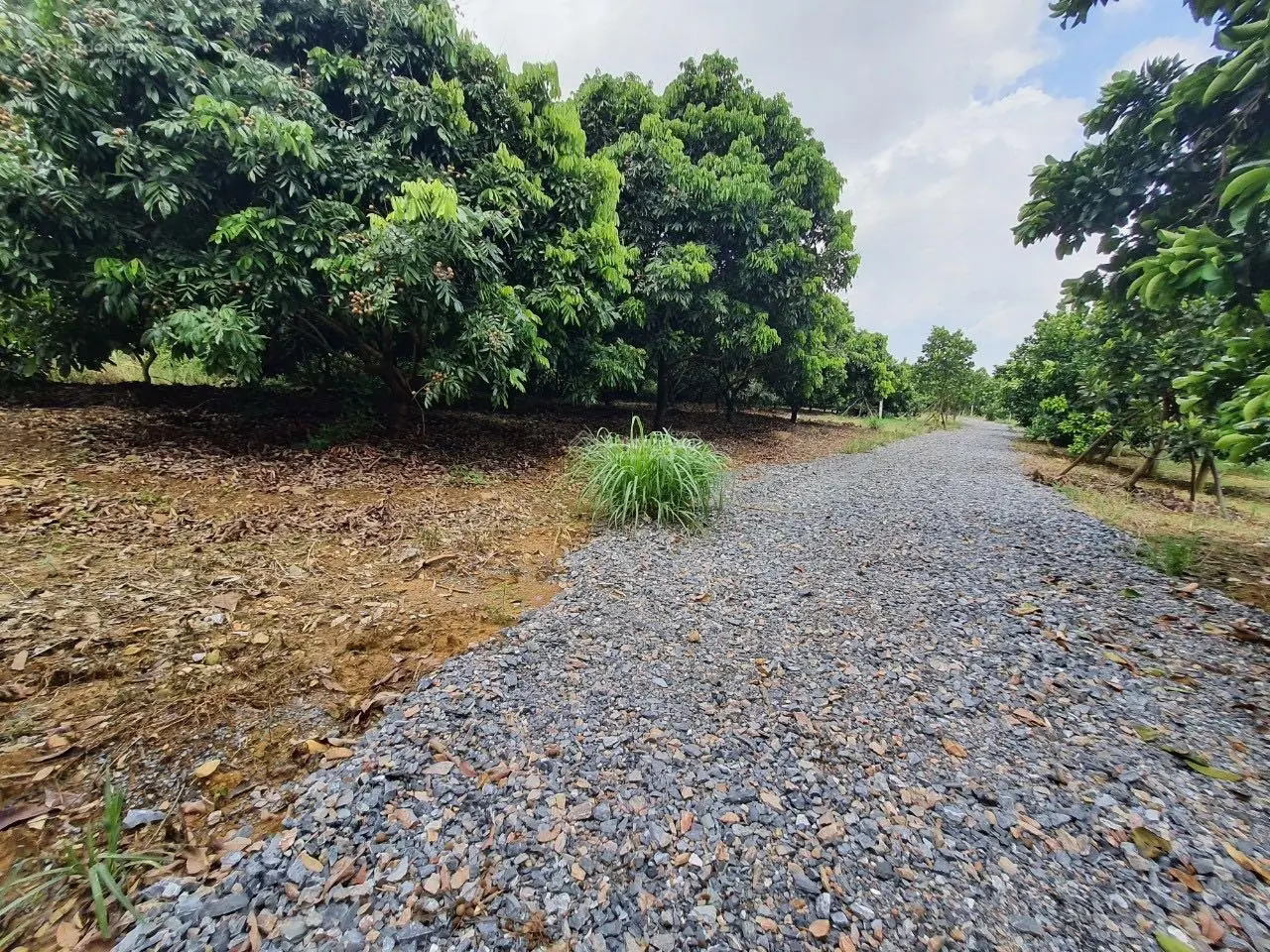 Chuyển nhượng 20.118m2 (hơn 2ha) đất thổ cư giá rẻ phù hợp xây nghỉ dưỡng homestay tại Lương Sơn