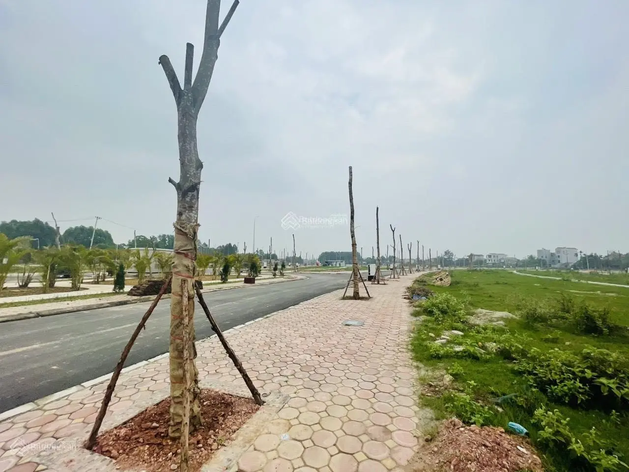 Chính chủ N9 cần bán diện tích 80m2 Mỹ Độ Vista Bắc Giang, sổ đỏ sẵn két, giá thoả thuận 0989 580 ***