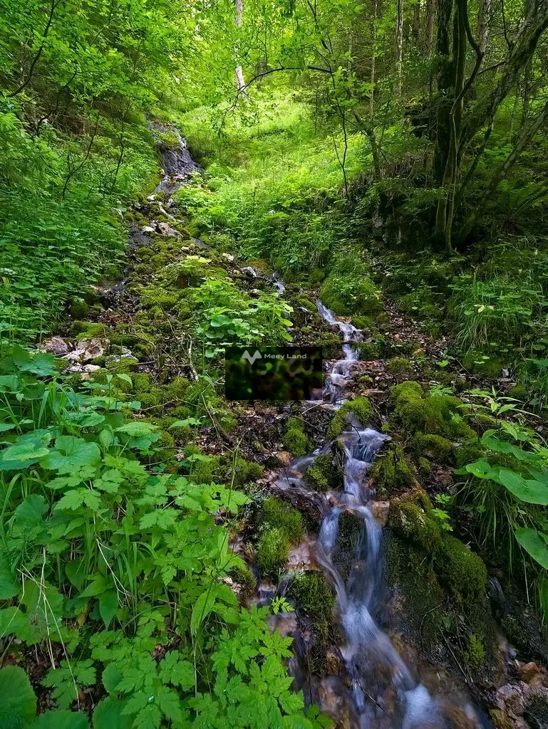 Vườn Cam Lâm 7,5ha có suối, Cách Biển 9km, Gần Nha Trang