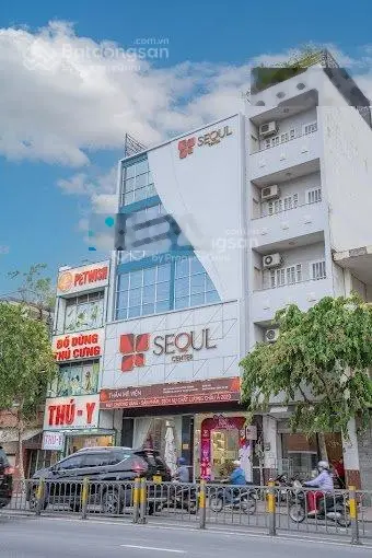 Ngộp bank! Bán gấp Tòa nhà MT Trần Hưng Đạo, Quận 5, 6x24m, 6 Tầng - HĐT: 6000$, giá 46 tỷ