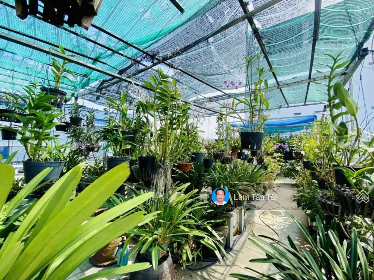 Mặt tiền đường s2, 116m2, 5 tầng btct, có gara ôtô, 13 tỷ nhỉnh