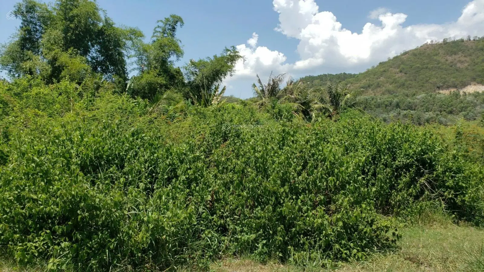 Bán đất 1.992,4 m2 sát cầu Sông Tắc, view Sông - Võ Nguyên Giáp - Vĩnh Trung - Nha Trang (12tr/m2)