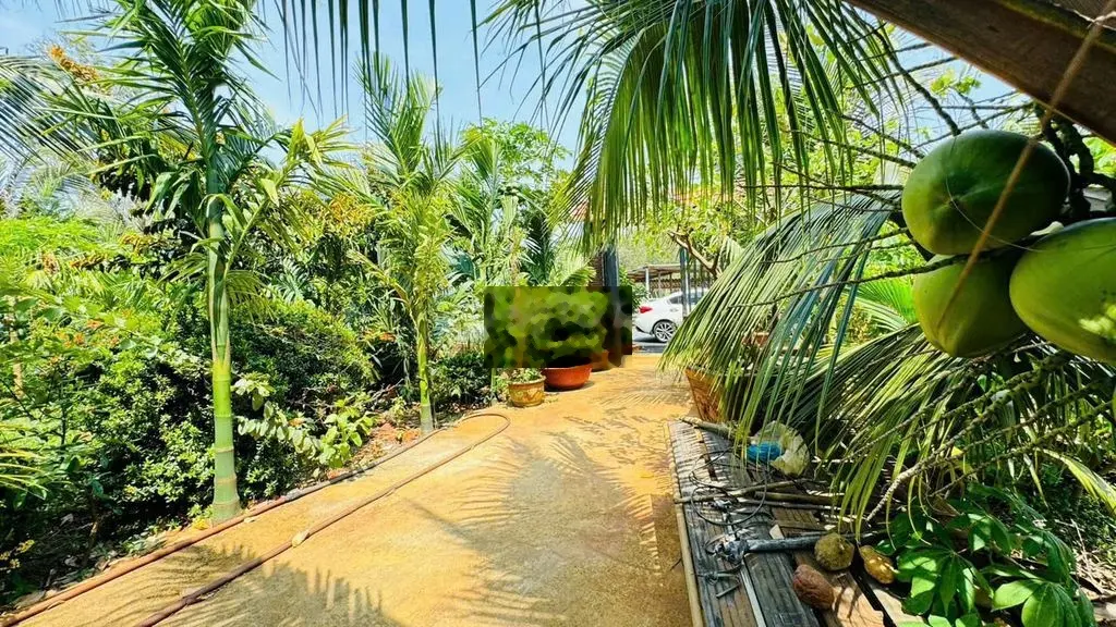 LONG MỸ - PHƯỚC HẢI NANG 18X25M SĂN THỔ CƯ GIÁ RẺ