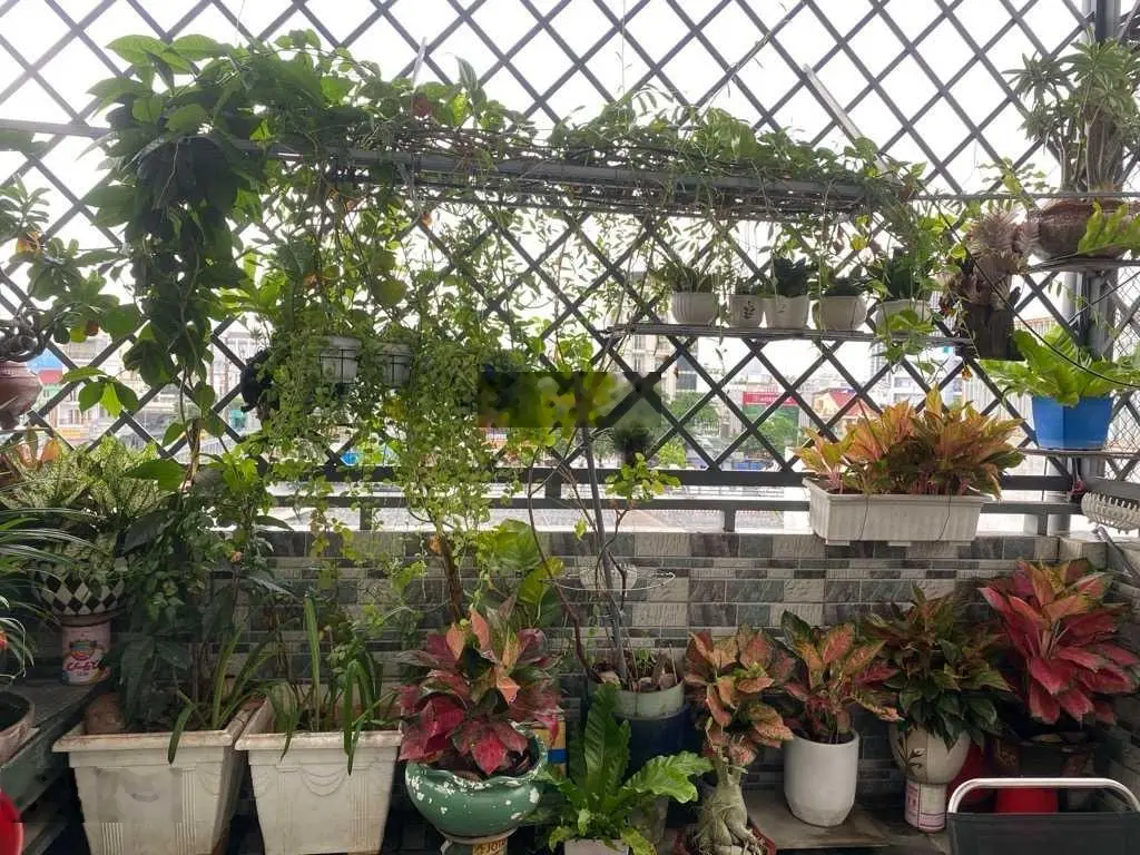 Hơn 8 tỷ - nhà 4 tầng - TT Quận 7 - 75m2 hẻm 6m - ô tô tới nhà - nhà đẹp, thoáng sáng như cung điện