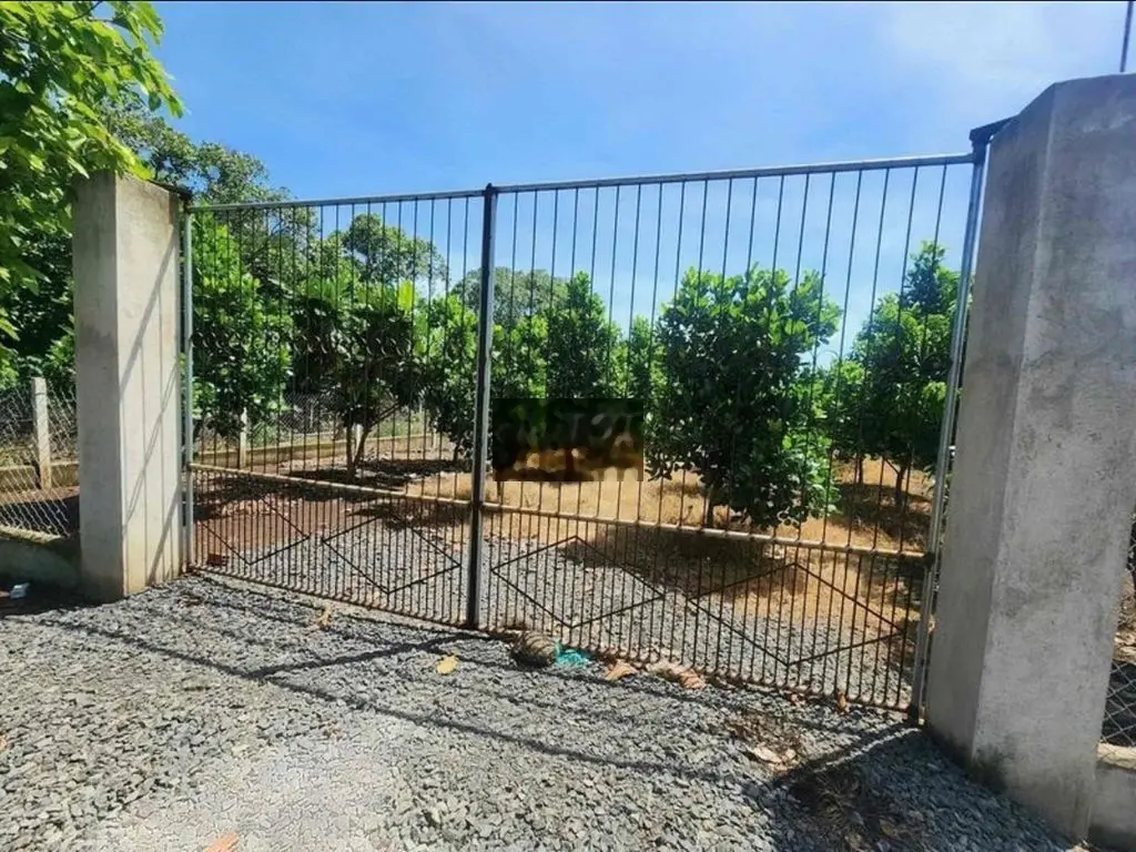 CHỊ EM NHỜ BÁN LÔ ĐẤT GIÁ PHẢI CHĂNG Ở BÌNH DƯƠNG