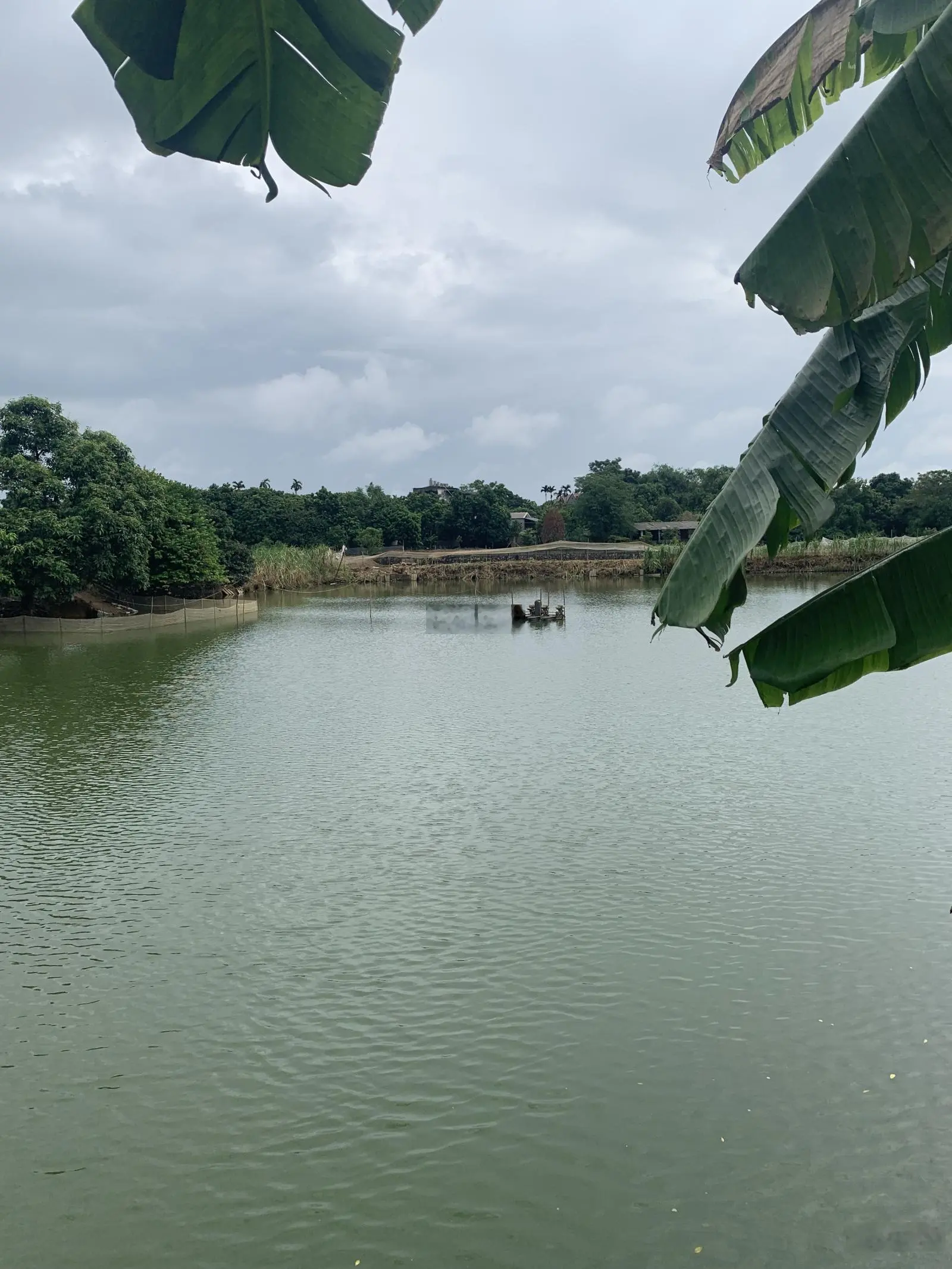 Cần bán 1182m2 đất bám hồ. Tại Thuỷ Xuân Tiên, Chương Mỹ, Tp Hà Nội