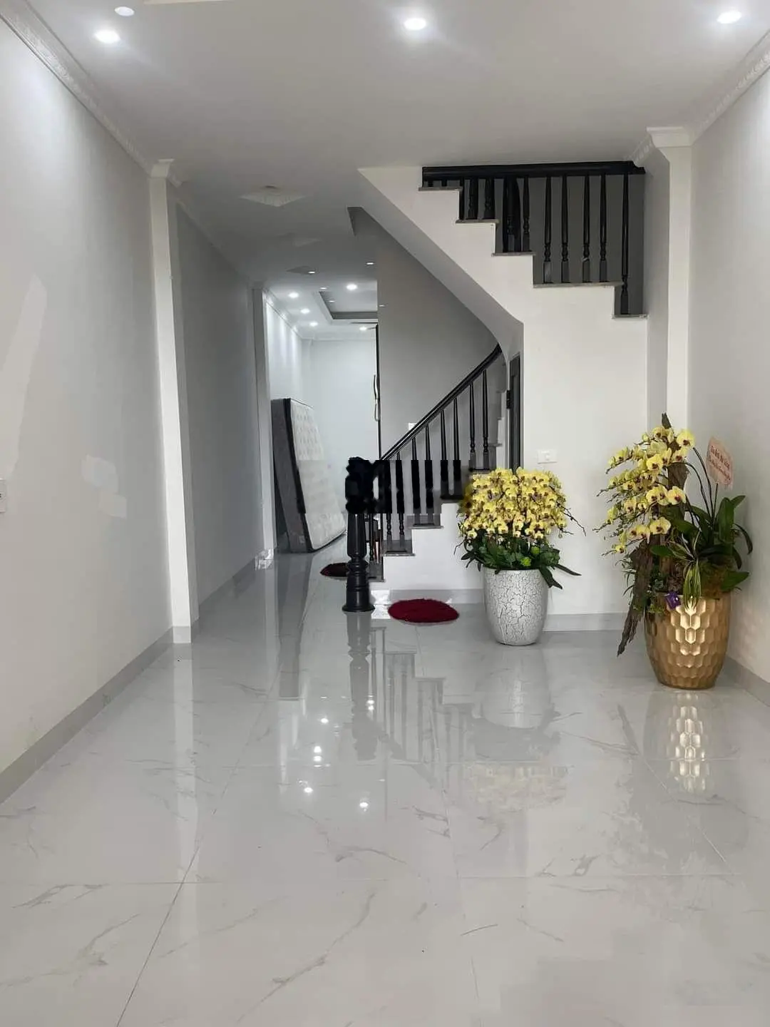 Bán nhà mặt phố Mai Anh Tuấn, 6 tầng thang máy mở VP, SPA kinh doanh đỉnh. DT 44/55T1 M. Giá 36 tỷ