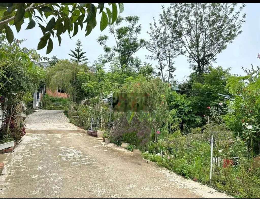 🏆Bán đất đường An Bình diện tích 205m tặng GPXD giá tốt 8,6 tỷ
