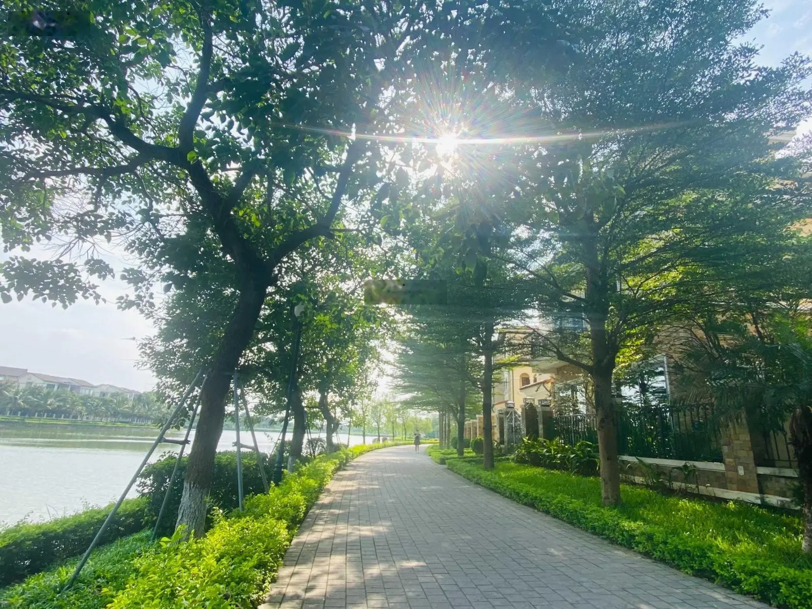 Bán lô biệt thự 500m2 đối diện công viên (sổ đỏ) Khép kín