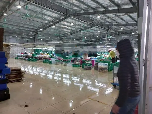 Chuyển nhượng nhà máy tại Nghĩa Hưng - Nam Định, diện tích đất 18860m2