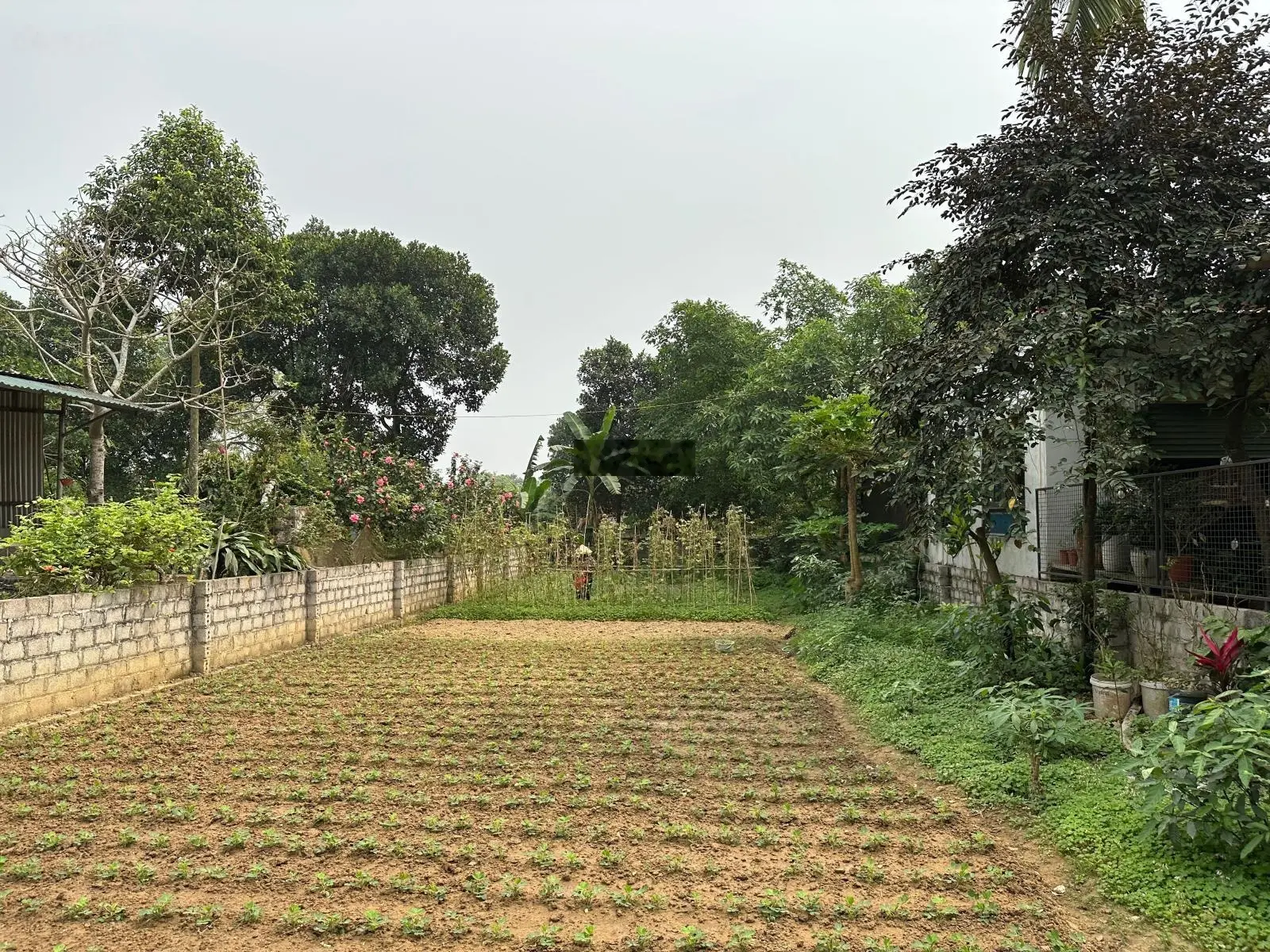 Cần bán gấp lô đất 299m2 tại Thuỷ Xuân Tiên giá chỉ vài triệu mét vuông