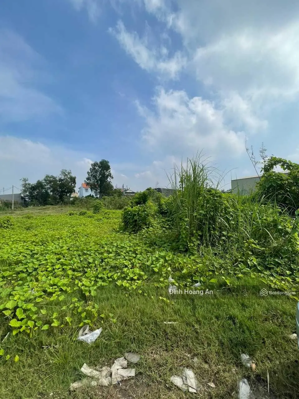 Thanh lý nhanh đất ngay BV Đa Khoa Vĩnh Long, Đ. Phạm Thái Bường, P4, Vĩnh Long, 120m2, SHR