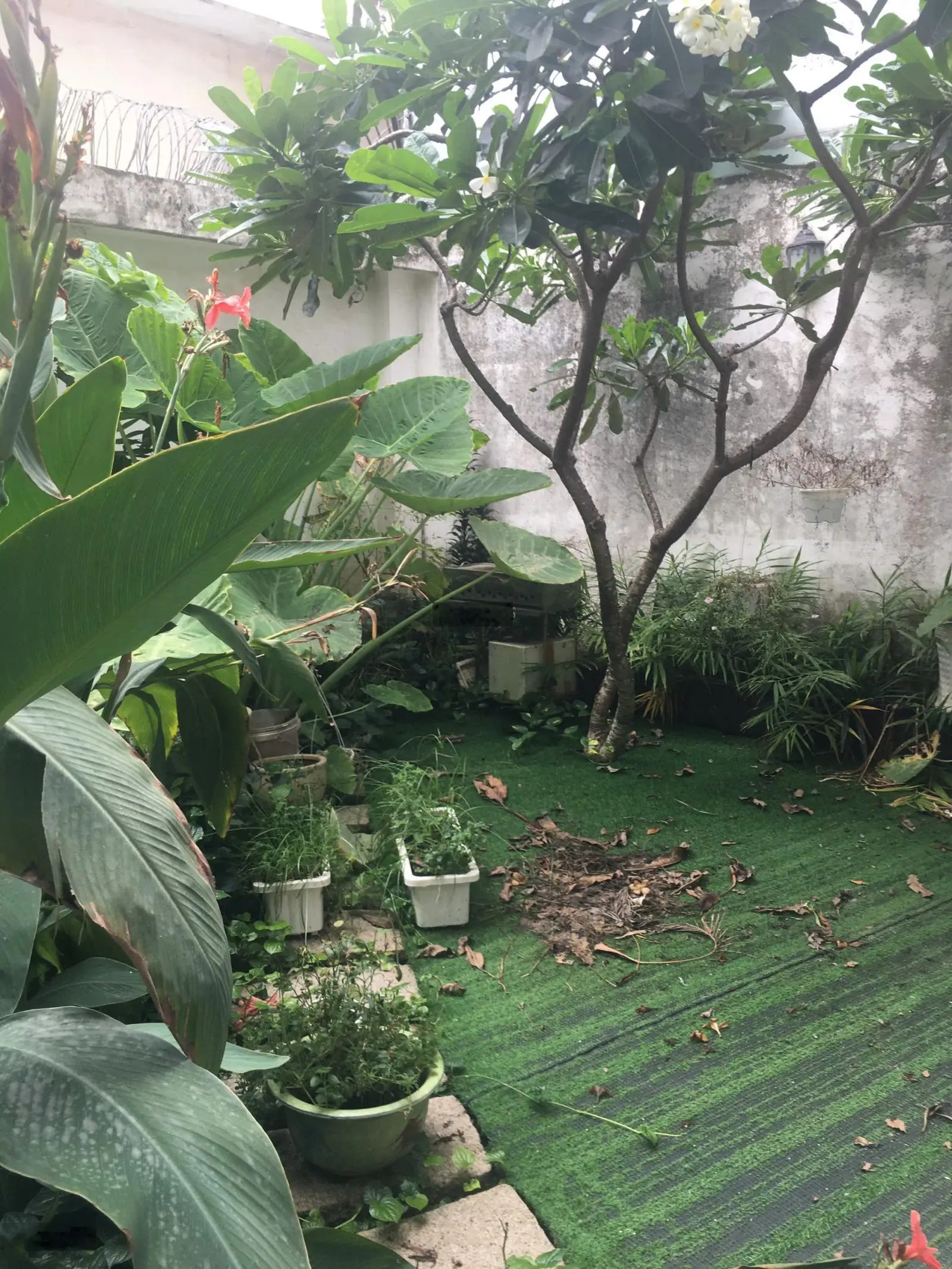 Biệt thự - 203m2 - đường 7m - Nguyễn Duy Trinh - Bình Trưng Tây
