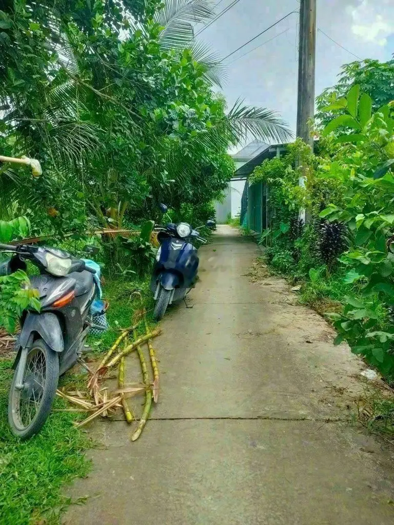 CÁCH KCN BÌNH MINH 1,5 KM VỢ CÔNG NHÂN AN CƯ