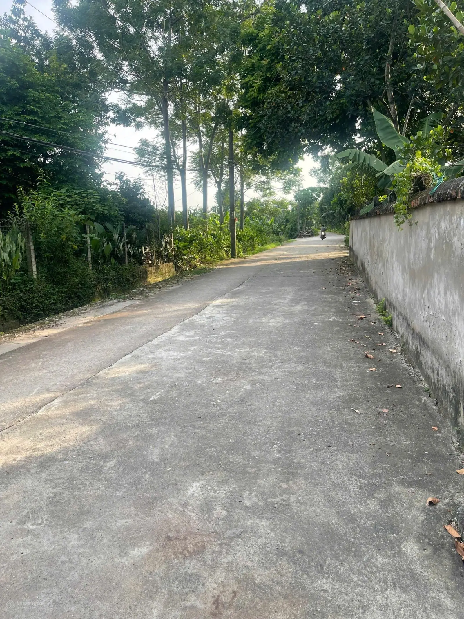 Chủ cần bán 73m2 Kim Bài giá đầu tư