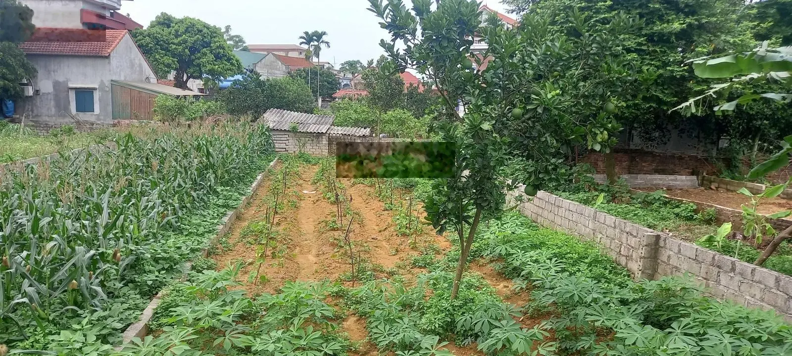 Bán mảnh đất thổ cư tại Linh Sơn, Bình Yên, Thạch Thất. Diện tích 158m2