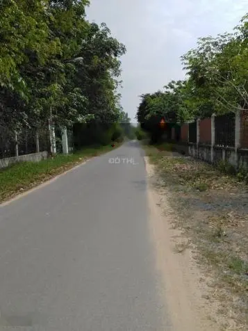 Đất Củ Chi, bán lô đất mt đường nhựa Trần Thị Tuồng, dt 232m2, full thổ cư, xã Phú Hòa Đông.