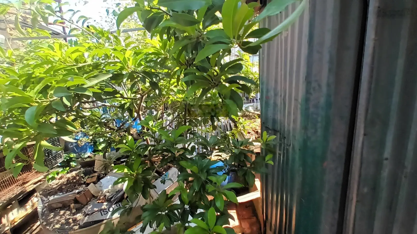 Bán nhà liền kề đô thị mới Văn Phú Hà Đông, vị trí kinh doanh