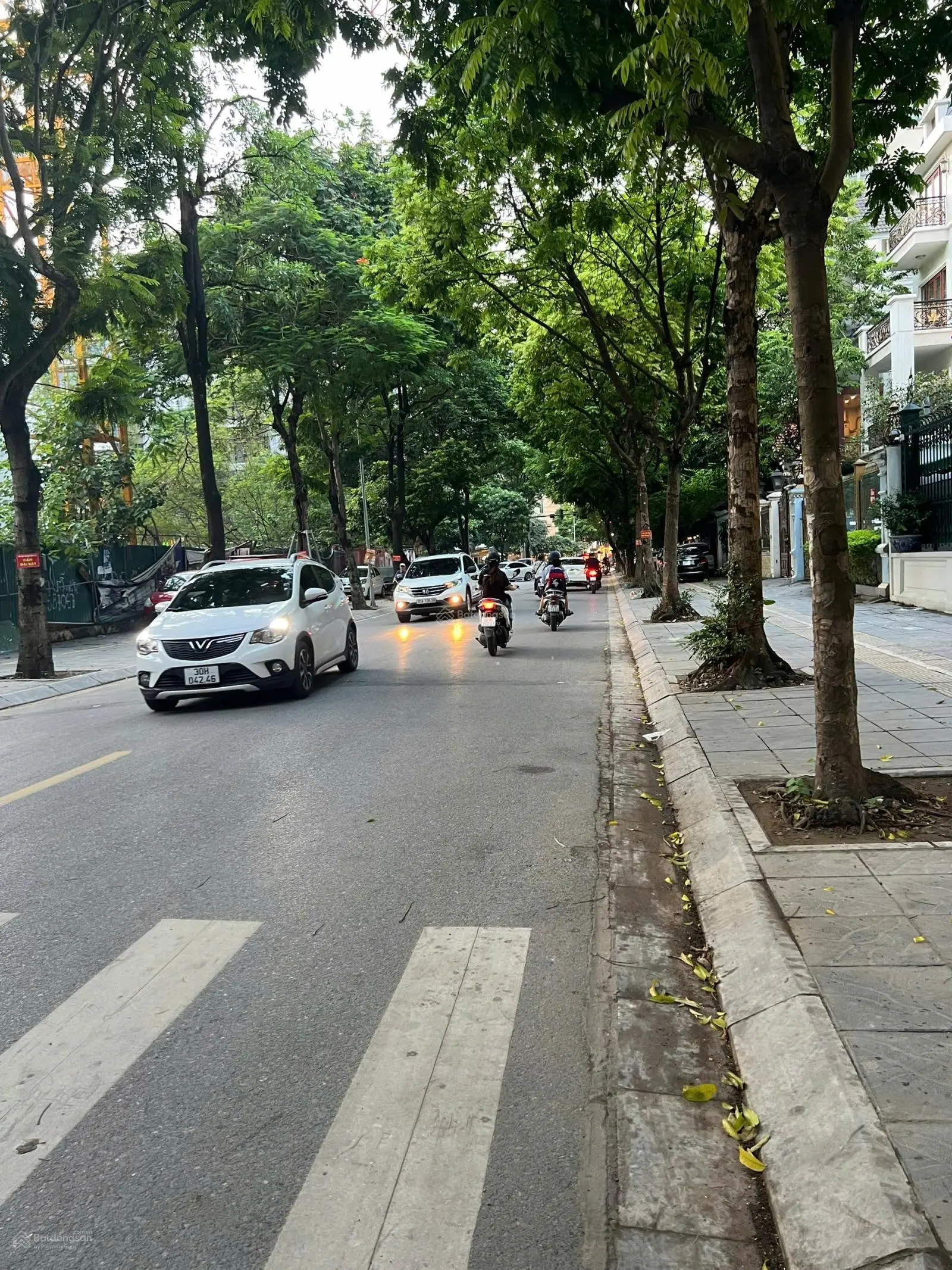 Bán nhà mặt phố Trương Công Giai 292m2 thổ cư, mặt tiền 12m, sổ đỏ vuông đẹp, 118 tỷ