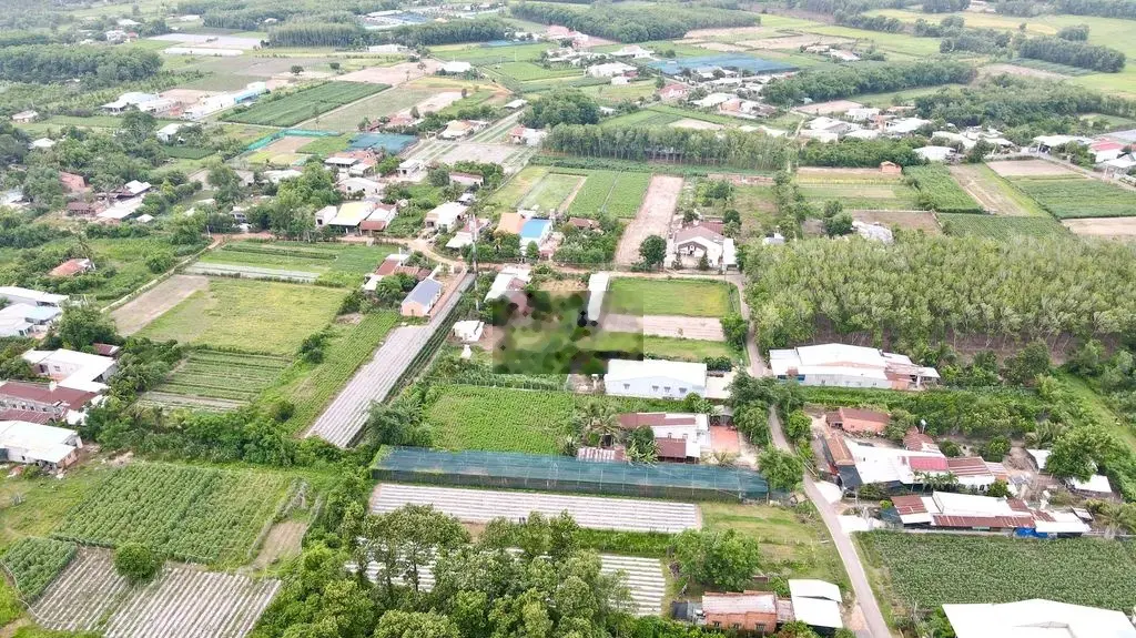 Đất full thổ cư 495 triệu mặt tiền đường xã An Tịnh-Trảng Bàng-TN