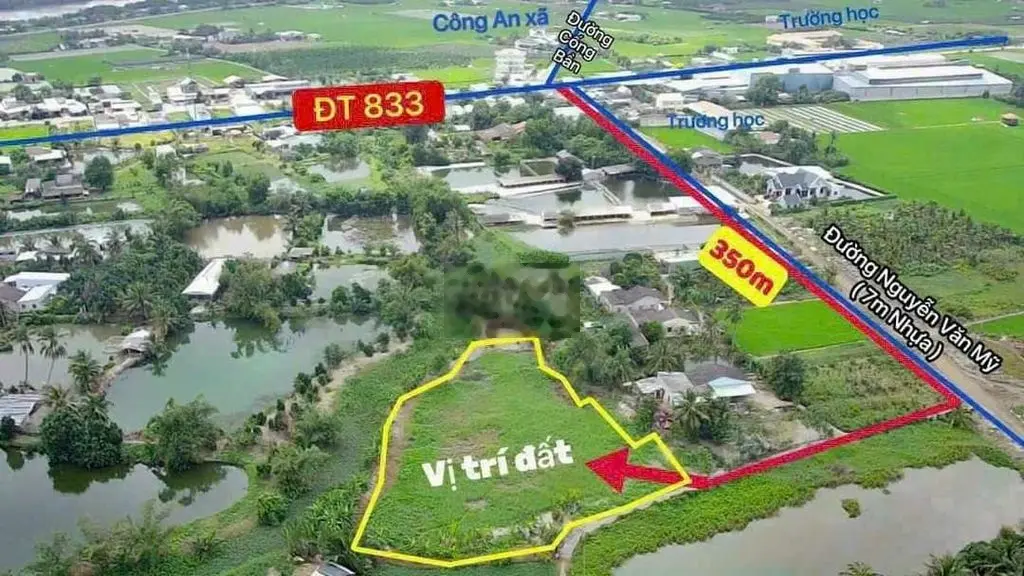 3.400m2 cách nhựa Nguyễn Văn Mỹ 50m, tỉnh lộ 833 - 300m