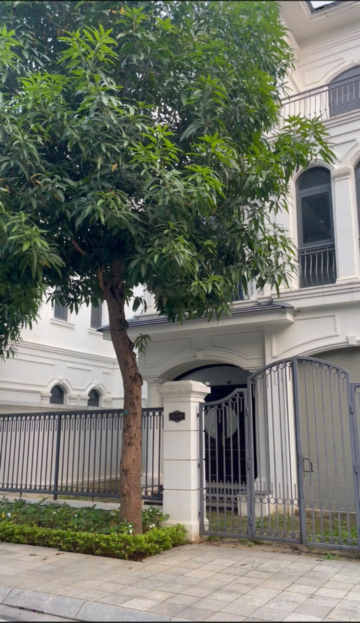 Chính chủ bán căn song lập Phong Lan khu đô thị Vinhomes Star City Thanh Hóa